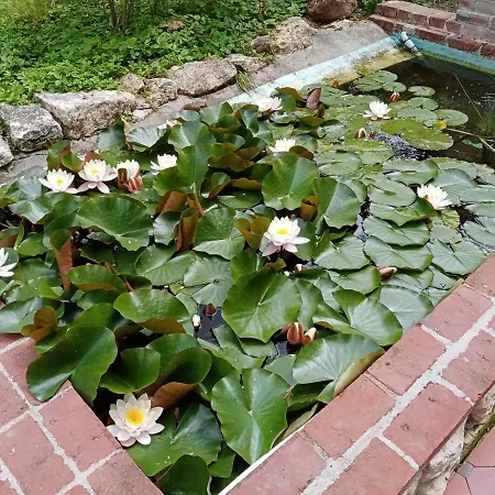 Bed & Breakfast La Boheme Francastel